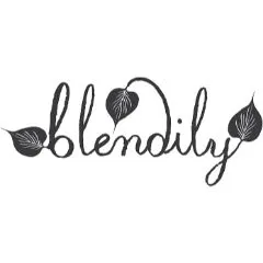 Blendily discount code