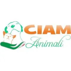 CIAM IT discount code