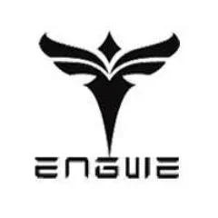 Engwe discount code