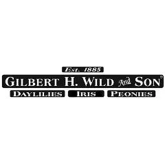Gilbert H Wild And Son discount code