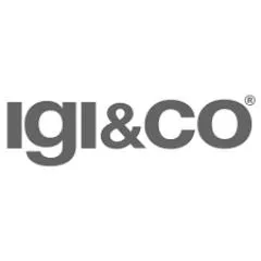 IGI And Co IT discount code