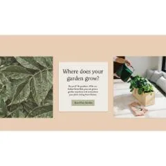 Modern Sprout discount code