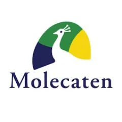 Molecaten discount code