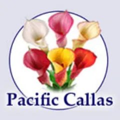 Pacific Callas discount code
