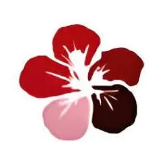 PerryOutlet IT discount code