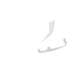 Skates Guru discount code