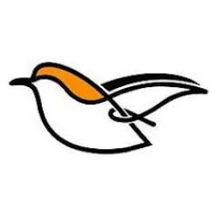 Wazo Furniture CA discount code